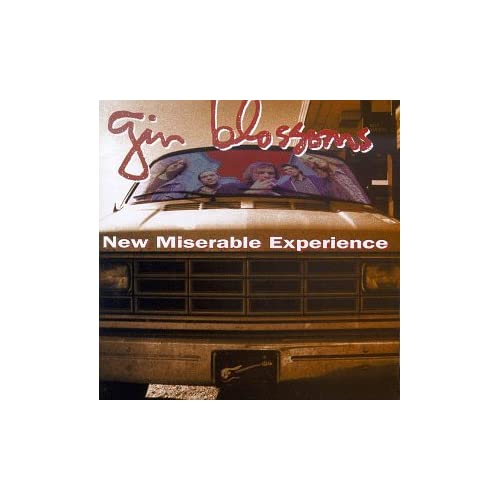 download new miserable experience gin blossoms rar